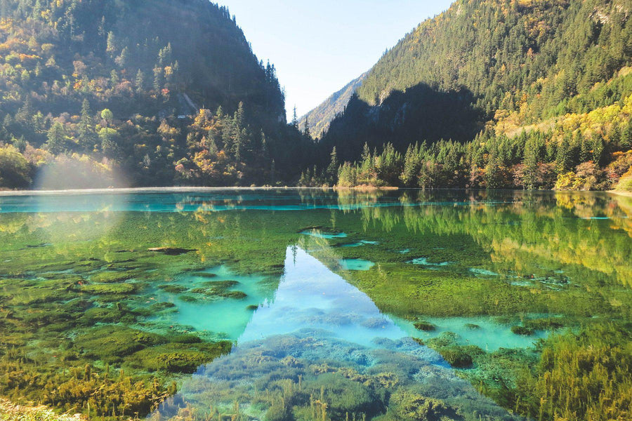 THE SICHUAN(テシュアン)の香りで空想する神話