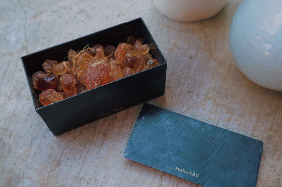 ポプリ / アンバー(琥珀樹脂)が結ぶ自然とアート。