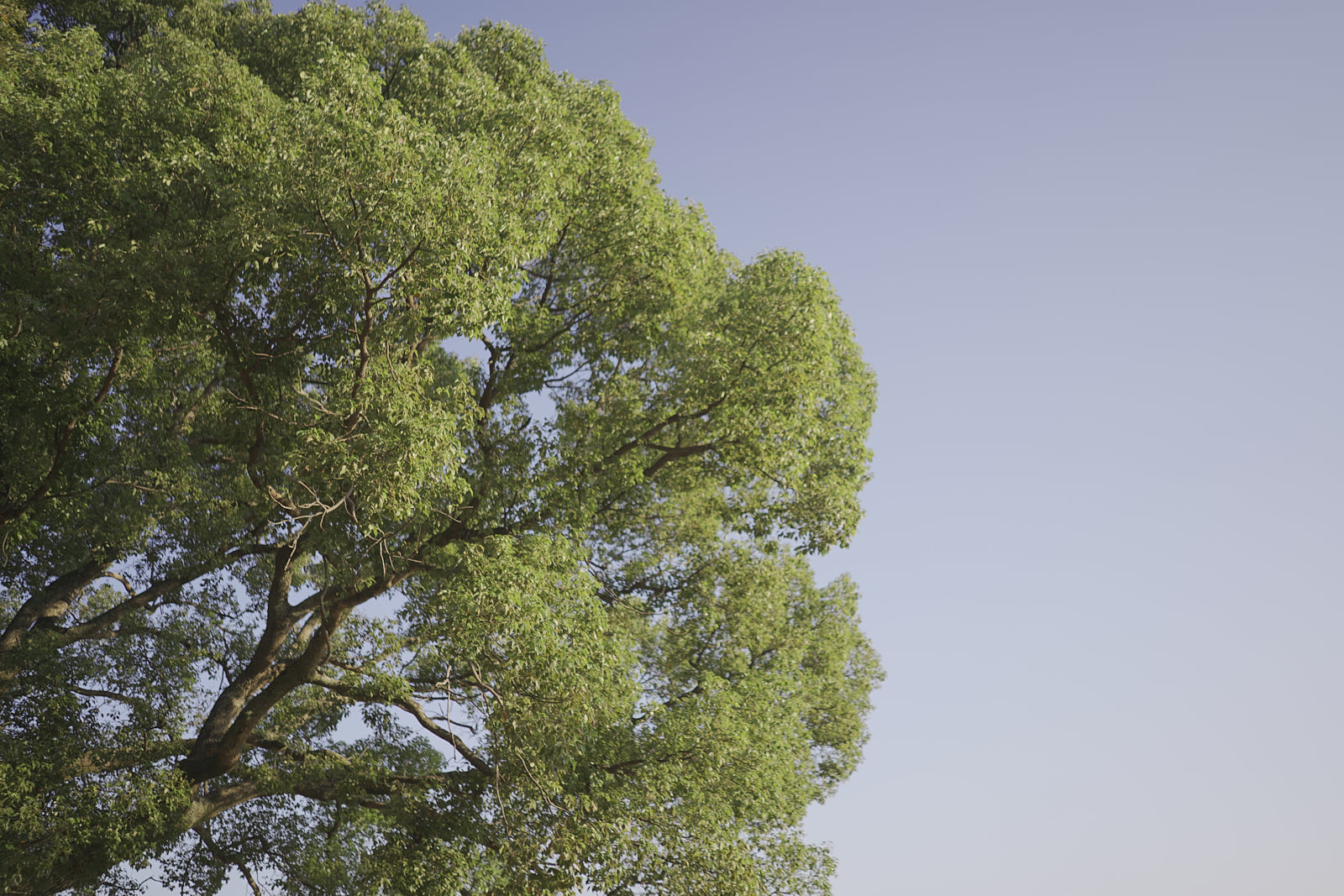 GW期間中の配送とお問い合わせについて