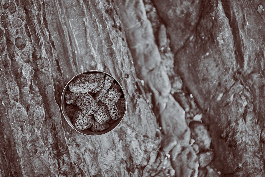 年末に開催されるPOP UPのご案内