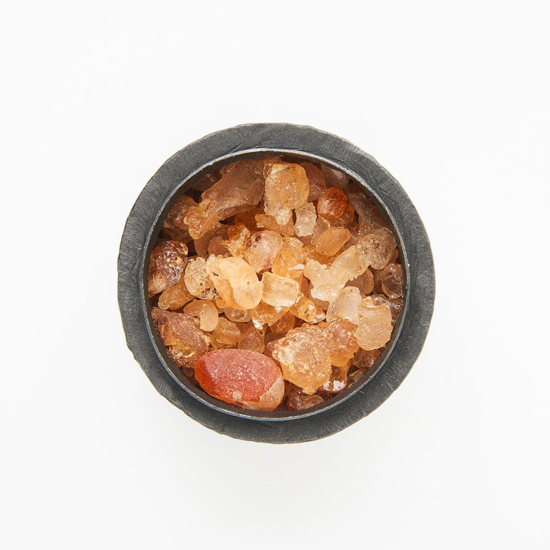 ポプリ / アンバー モナキア スモールサイズ-DOUBLE'H ML STORE